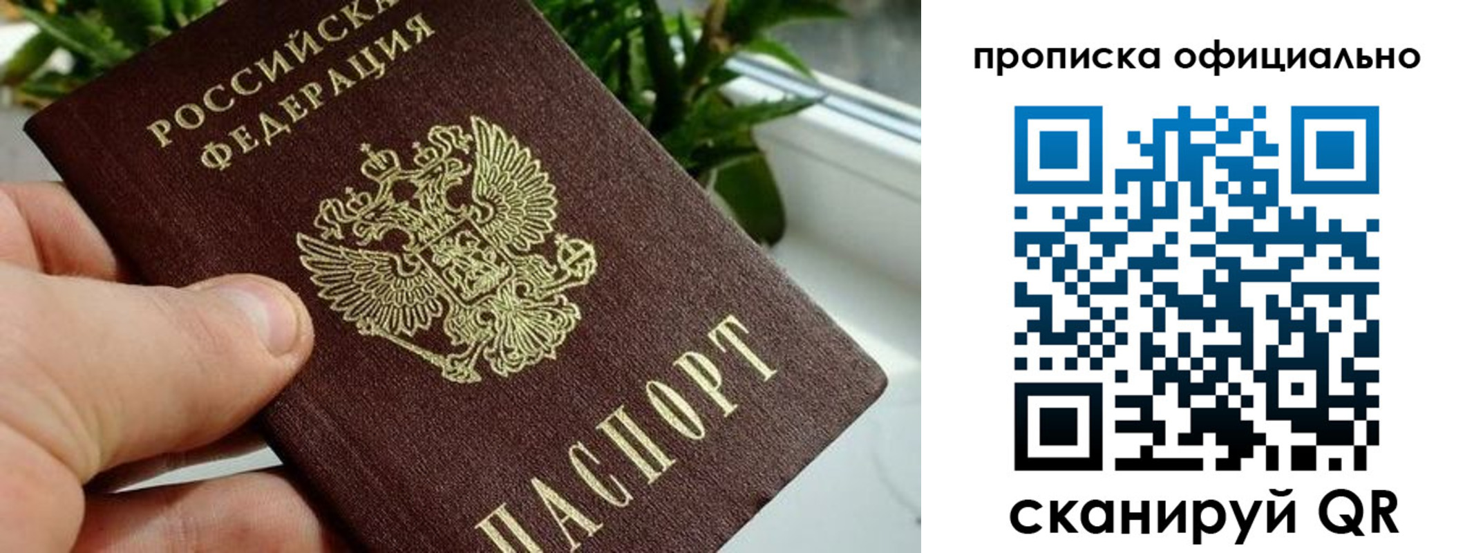 прописка поиск в Новороссийске